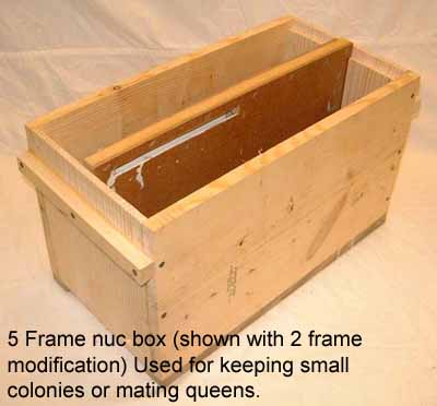 5 frame nuc box picture