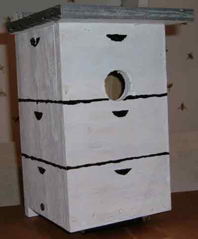Bird House 2b picture