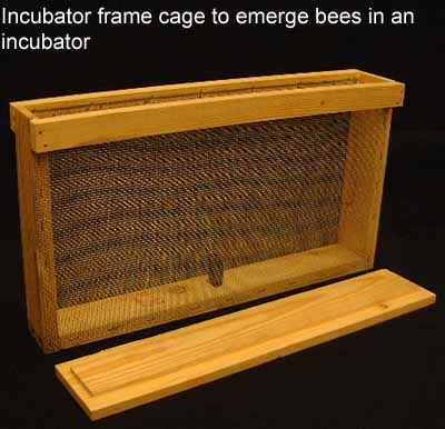 incubator frame cage picture