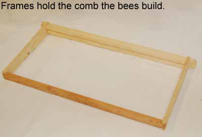 Bee hive frame picture