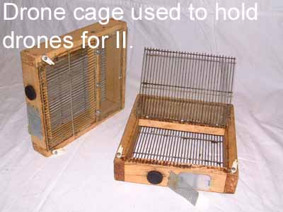 Drone cage picture