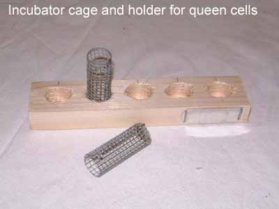 incubator queen cage picture