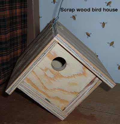 Bird House picture